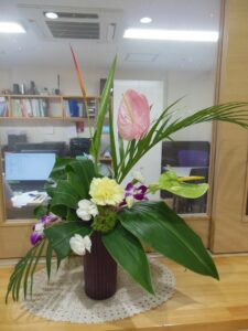 玄関の花3